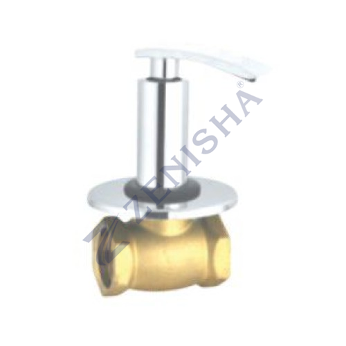 Flush Valve With Flange